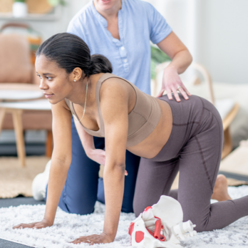 The image could be described as a physical therapy session focusing on pelvic floor exercises, where a woman is performing a hands-and-knees exercise under the guidance of her therapist. The presence of a pelvic model suggests the therapy is educational, aiding the woman in understanding her body better as she strengthens her pelvic muscles. The home setting indicates a comfortable, private environment, possibly reflecting a personalized, in-home care scenario.